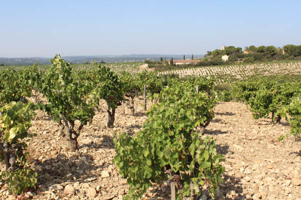 châteauneuf 5.jpg