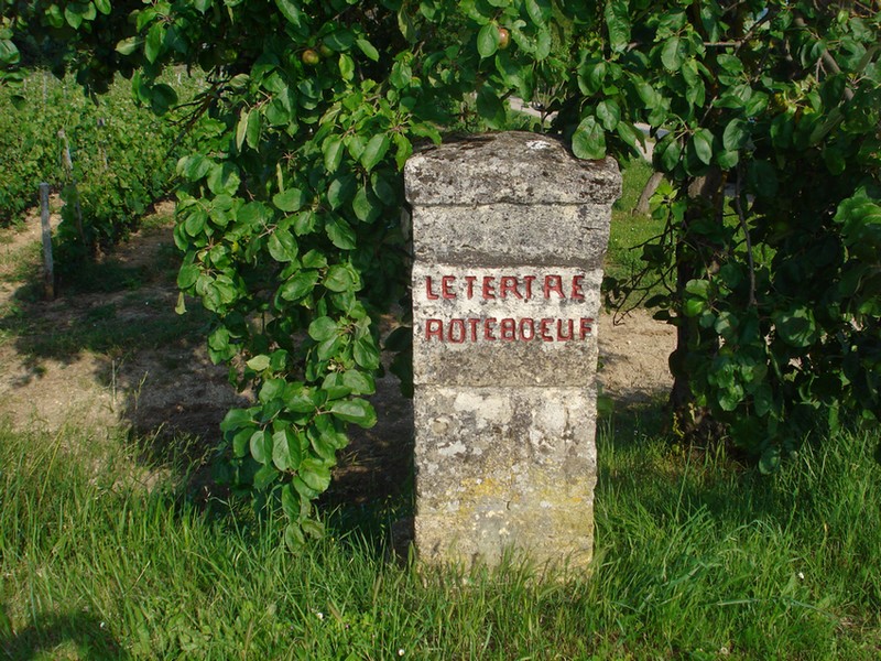 Borne Tertre Roteboeuf.jpg